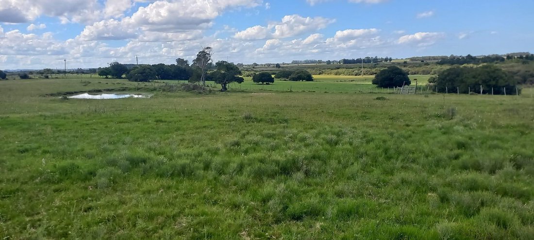 Farm Ranch in Rocha, Rocha Department, Uruguay 4 - 18543592