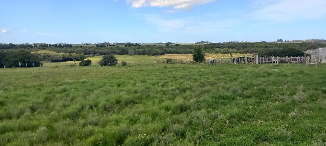 Farm Ranch in Rocha, Rocha Department, Uruguay 3 - 18543592