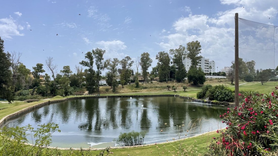 Apartment in Guadalmina Alta, San Pedro de Alcantara, Spain 3 - 18540141