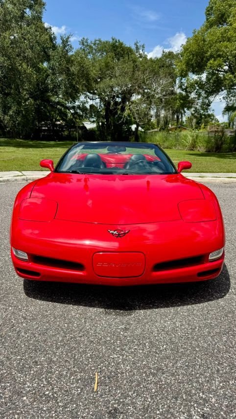 Cabriolet in Orlando, FL, United States 2 - 18541423