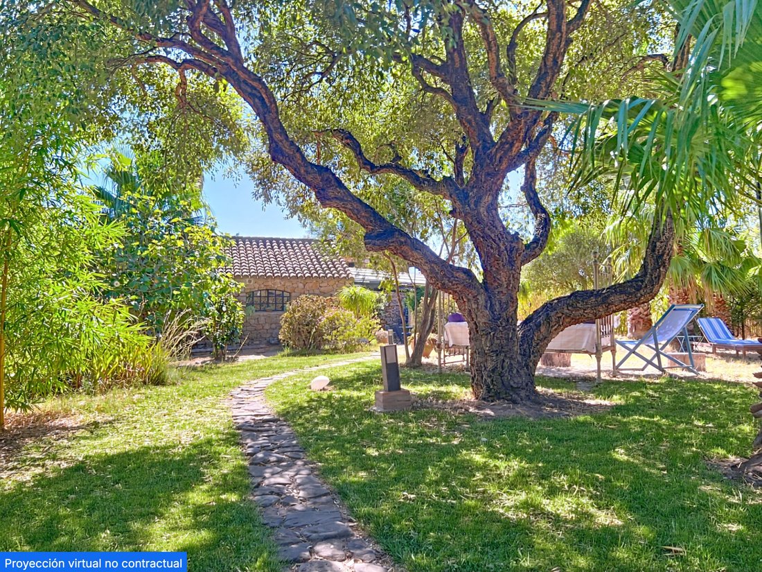 Tarifa, Andalusia, Spain 5 - 18541478