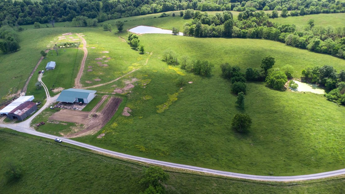 Farm Ranch in Cynthiana, Kentucky, United States 1 - 18539753