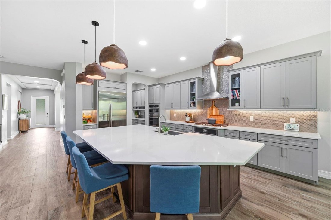 House in Wesley Chapel, Florida, United States 2 - 18540387