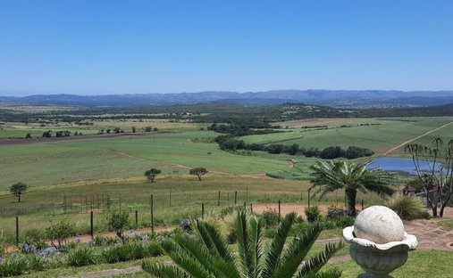 Azienda agricola a Empangeni, KwaZulu-Natal, Sudafrica 1