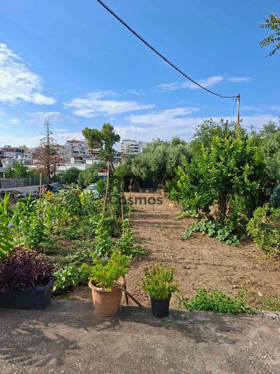 Land in Rafina, Attica, Greece 2 - 18540182