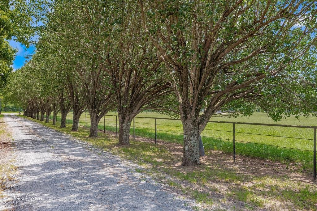 House in Bossier City, Louisiana, United States 3 - 18540495