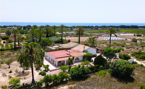 Finca in Elche, Land Valencia, Spanien 1