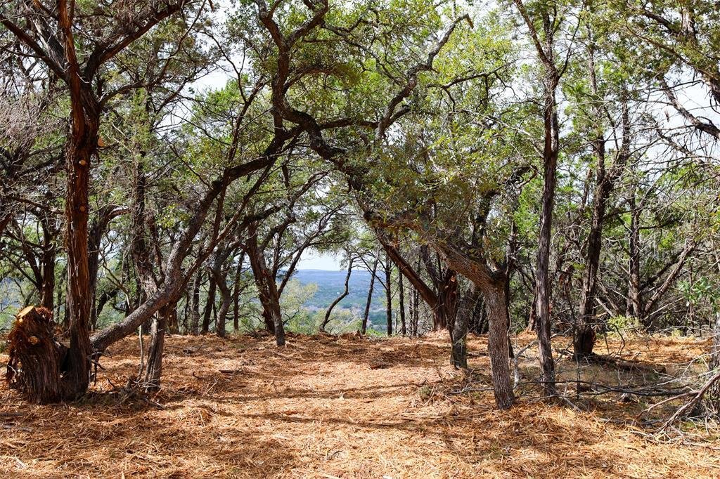 Land in Wimberley, Texas, United States 4 - 18541007