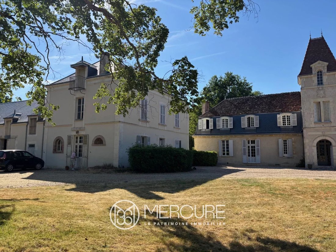 Château à Vatan, Centre-Val de Loire, France 2 - 18541196