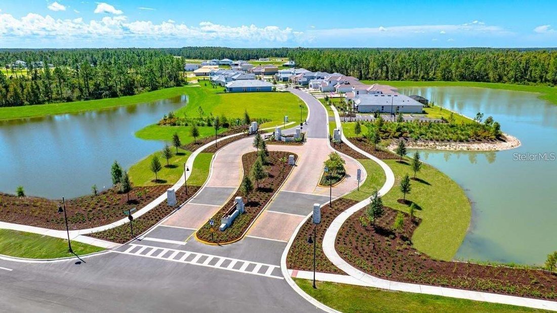 House in Zephyrhills, Florida, United States 5 - 18540246