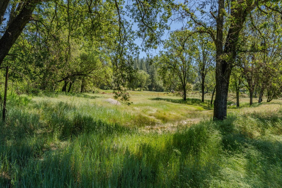 House in Fiddletown, California, United States 4 - 17721435