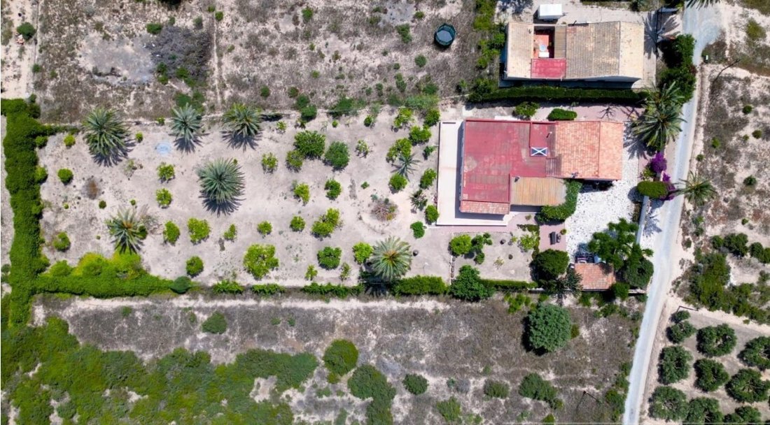 Finca in Elx / Elche, Valencian Community, Spain 3 - 15851847