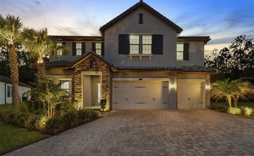 House in Wesley Chapel, Florida, United States 1