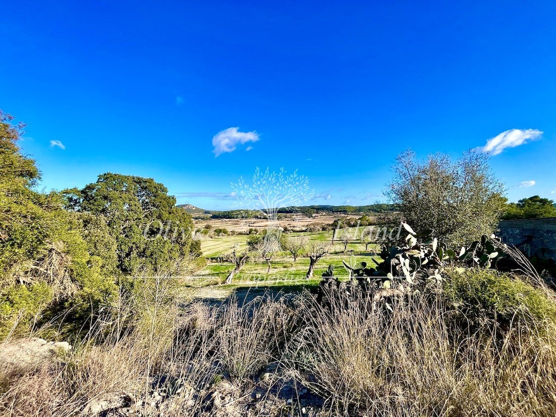 Finca a Sineu, Isole Baleari, Spagna 4 - 18543947