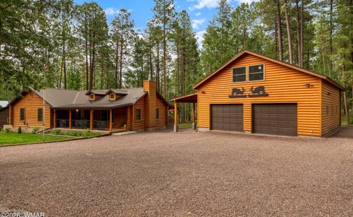House in Alpine, Arizona, United States 1