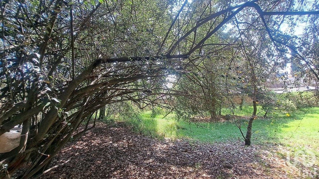 Land in Santiago Yancuitlalpan, State of Mexico, Mexico 4 - 18540860