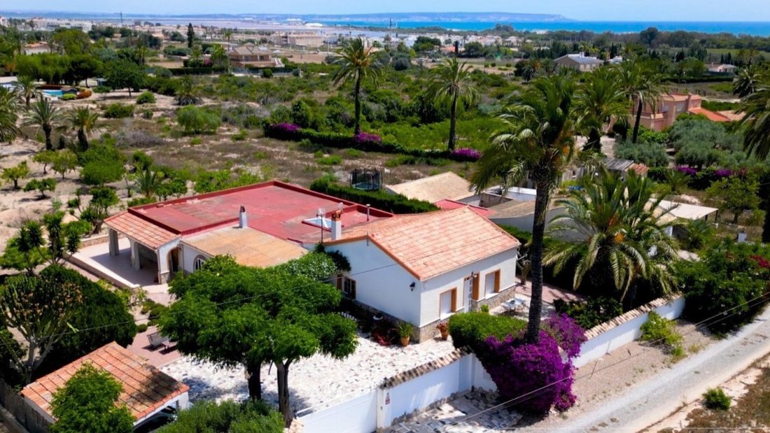 Finca in Elx / Elche, Valencian Community, Spain 2 - 15851847