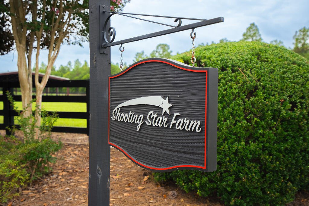 Farm Ranch in Aiken, South Carolina, United States 2 - 18539715
