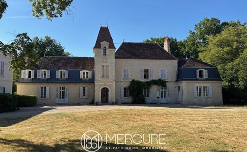 Castle in Vatan, Centre-Val de Loire, France 1