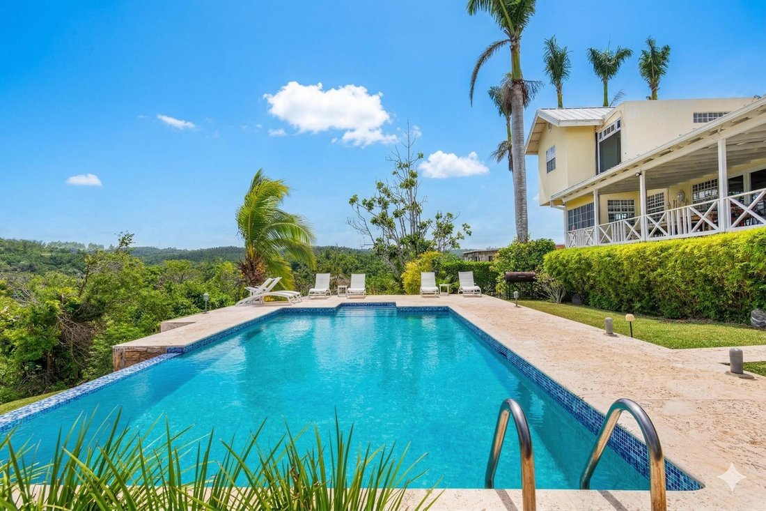 House in Martha Brae, Trelawny Parish, Jamaica 1 - 18541165