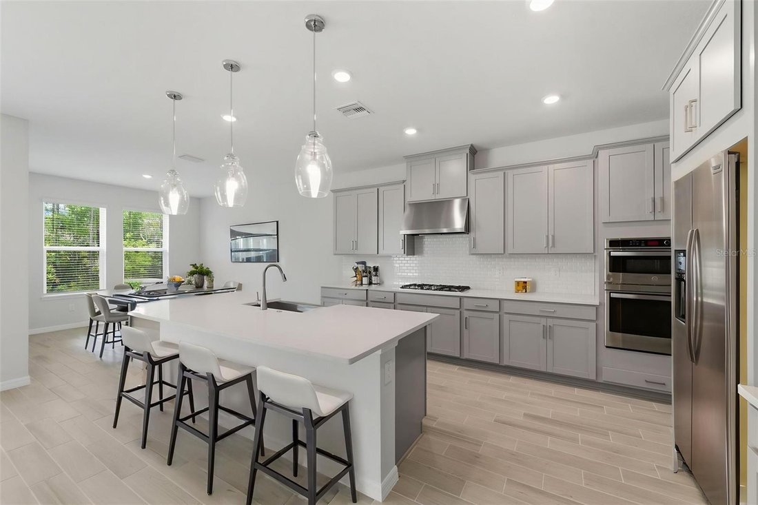 House in Zephyrhills, Florida, United States 4 - 18540246