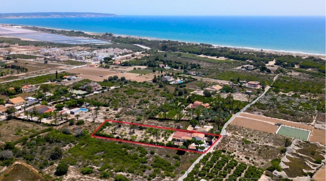Finca in Elx / Elche, Valencian Community, Spain 4 - 15851847