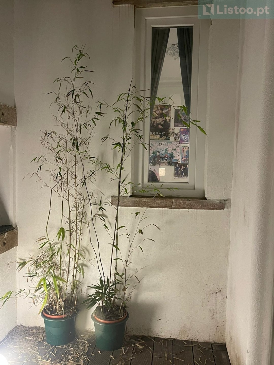 Appartamento a Arroios, Lisbona, Portogallo 3 - 18544000