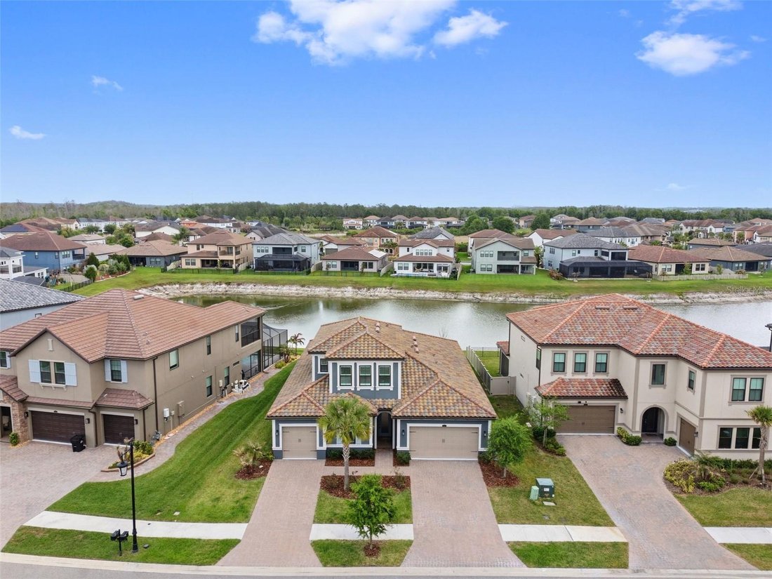 House in Wesley Chapel, Florida, United States 4 - 18540309