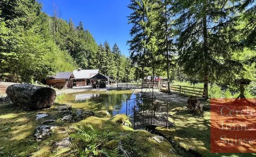 Farm Ranch in Sud, Thones, France 1