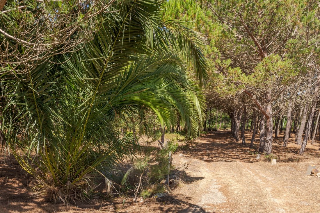 Finca in Rogil, Algarve, Portugal 3 - 18543874