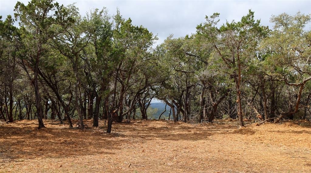 Land in Wimberley, Texas, United States 2 - 18541007