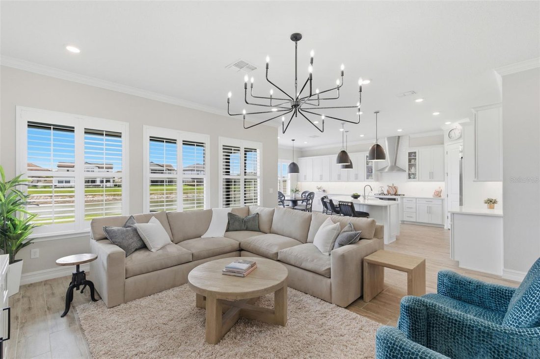 House in Wesley Chapel, Florida, United States 3 - 18540309