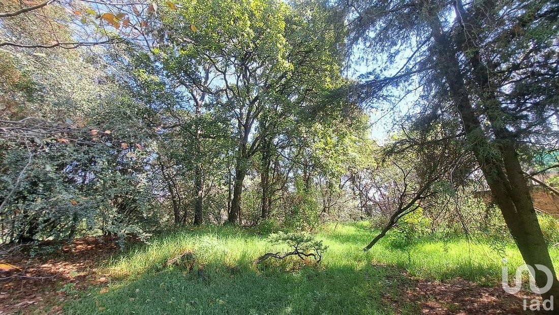Land in Santiago Yancuitlalpan, State of Mexico, Mexico 5 - 18540860