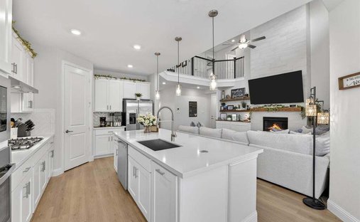 Casa a Little Elm, Texas, Stati Uniti 1