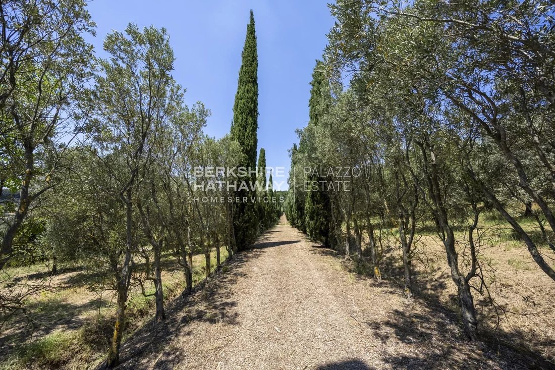 Estate in Center, Monsummano Terme, Tuscany 4 - 18541402