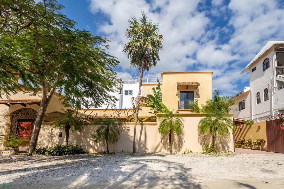 House in Puerto Morelos, Quintana Roo, Mexico 2 - 18477656