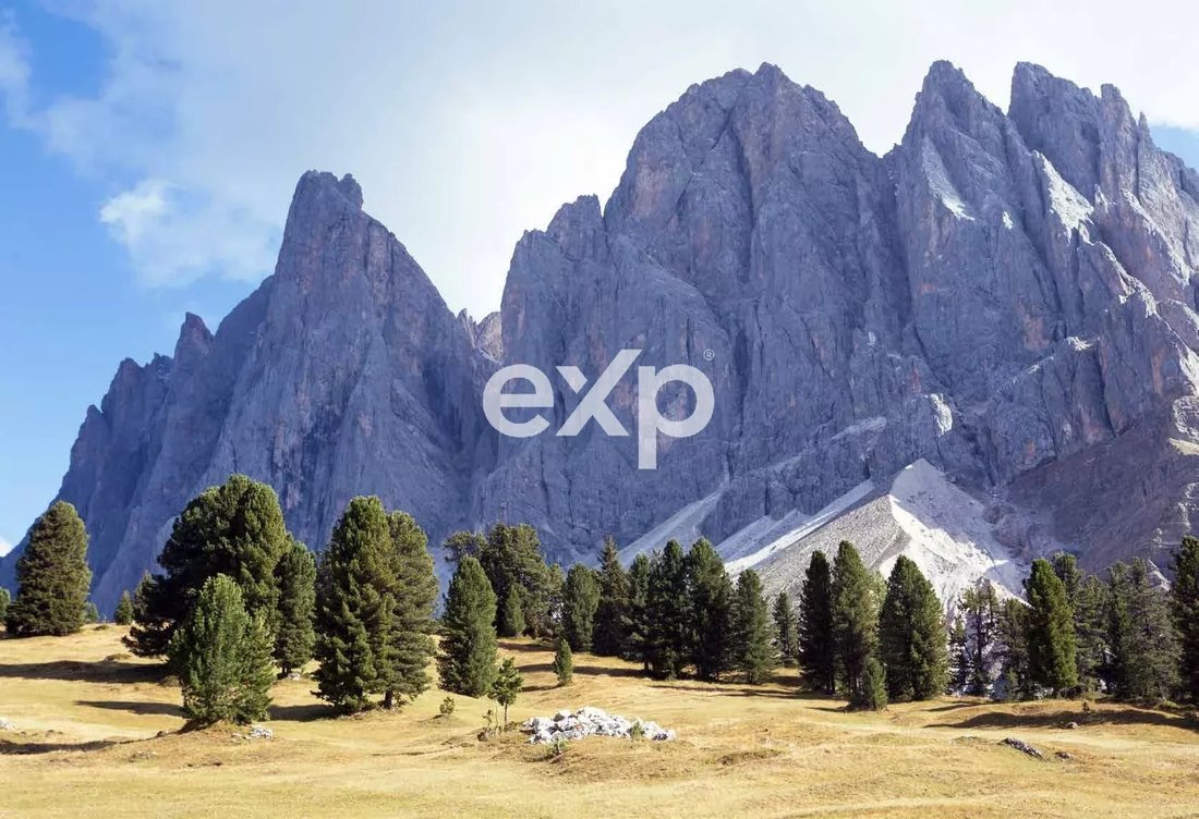 Apartment in Primiero San Martino di Castrozza, Trentino – Alto Adige/Südtirol, Italy 3 - 18541114
