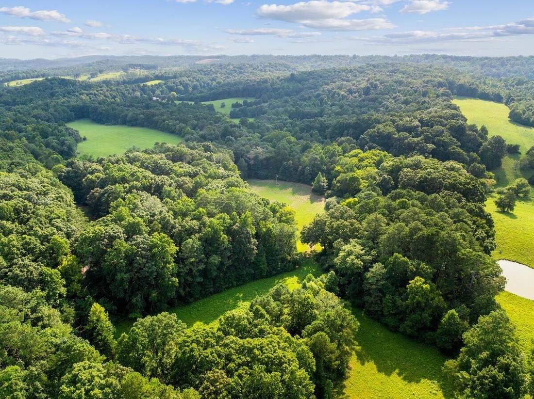 Land in Athens, Tennessee, United States 5 - 18543586