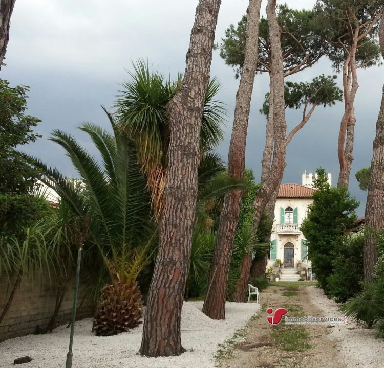 Villa in Pedica - Colle delle Ginestre - Poggio, Grottaferrata, Lazio 3 - 18543238