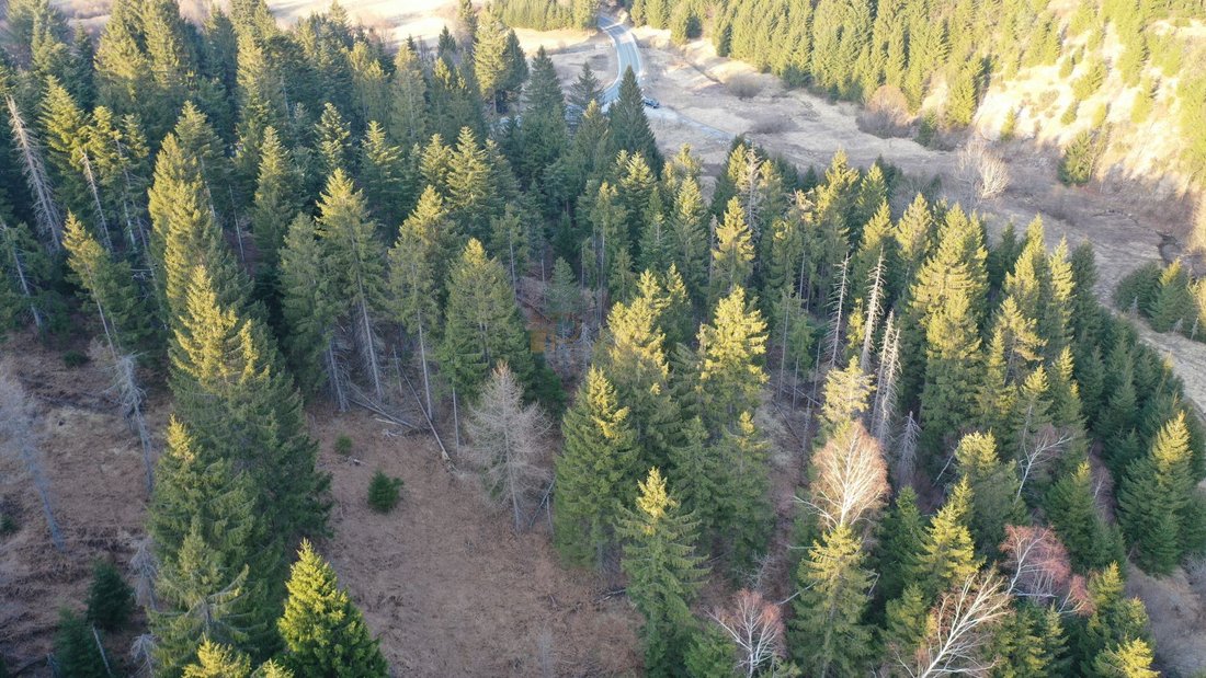 Land in Grad Delnice, Primorje-Gorski Kotar County, Croatia 4 - 18543765