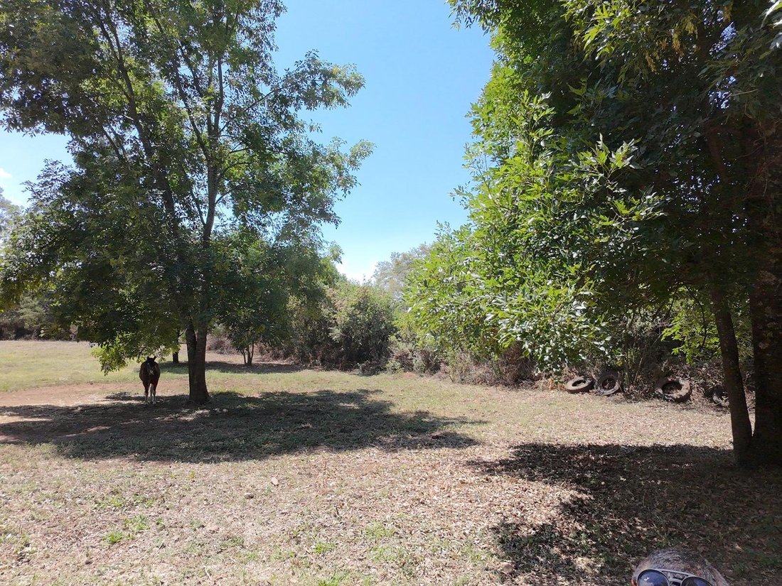Land in El Castellano, State of Mexico, Mexico 5 - 18541864