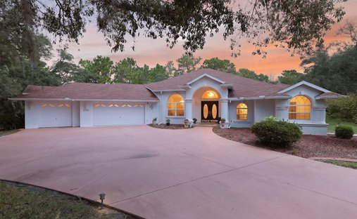 House in Beverly Hills, Florida, United States 1