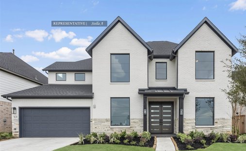 House in Conroe, Texas, United States 1