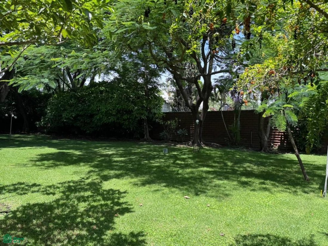 House in Cuernavaca, Morelos, Mexico 4 - 18318652