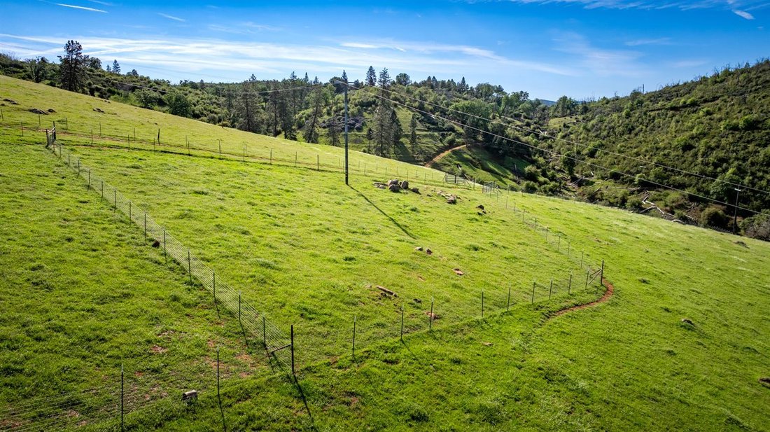 Mokelumne Hill, California, United States 5 - 18541852