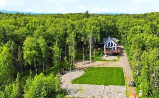 House in Willow, Alaska, United States 1