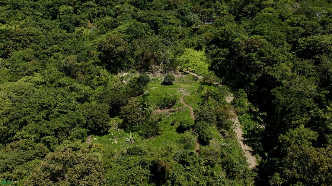 Land in Dominicalito, Puntarenas Province, Costa Rica 3 - 18542751