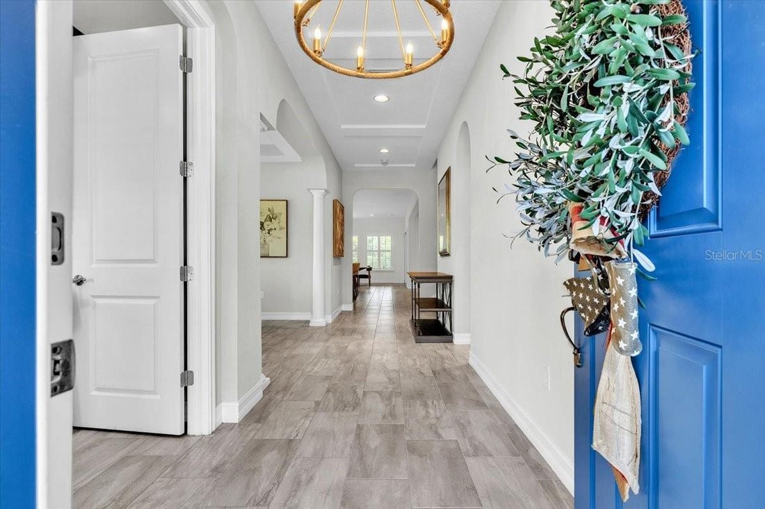House in Lutz, Florida, United States 3 - 18542574