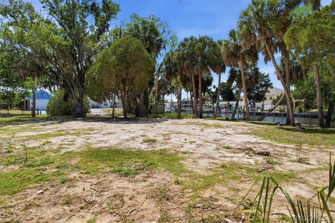 Land in Crystal River, Florida, United States 5 - 18541601
