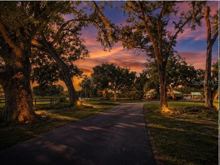 House in Parrish, Florida, United States 2 - 17882505
